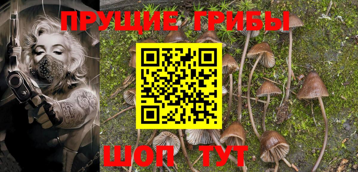 Псилоцибиновые грибы MAGIC MUSHROOMS  Вход с VPN  Аша  Галлюциногенные грибы Cubensis 