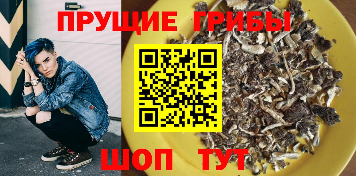 Галлюциногенные грибы Psilocybine cubensis Аша